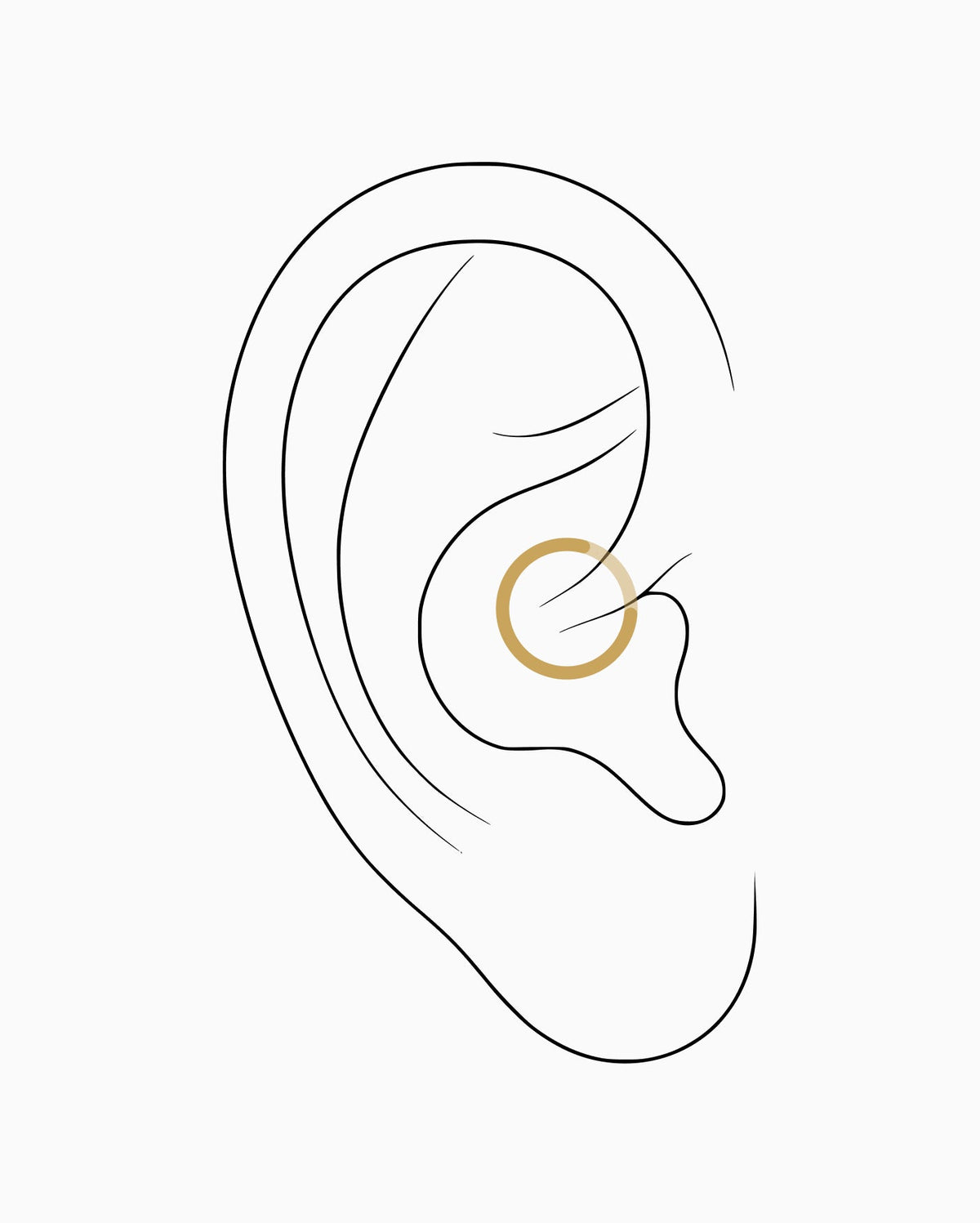 Daith piercing placement diagram