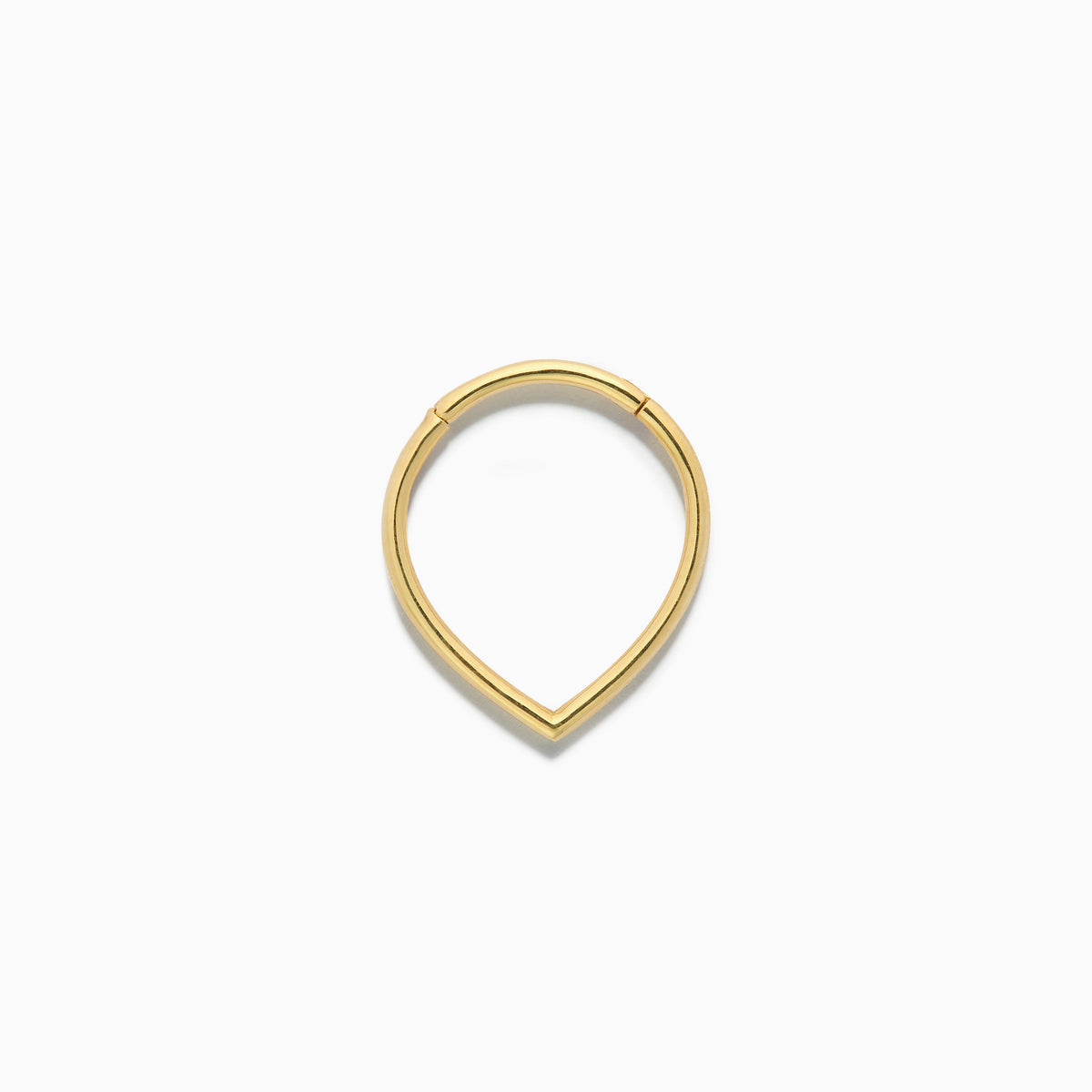 Hinged Rings