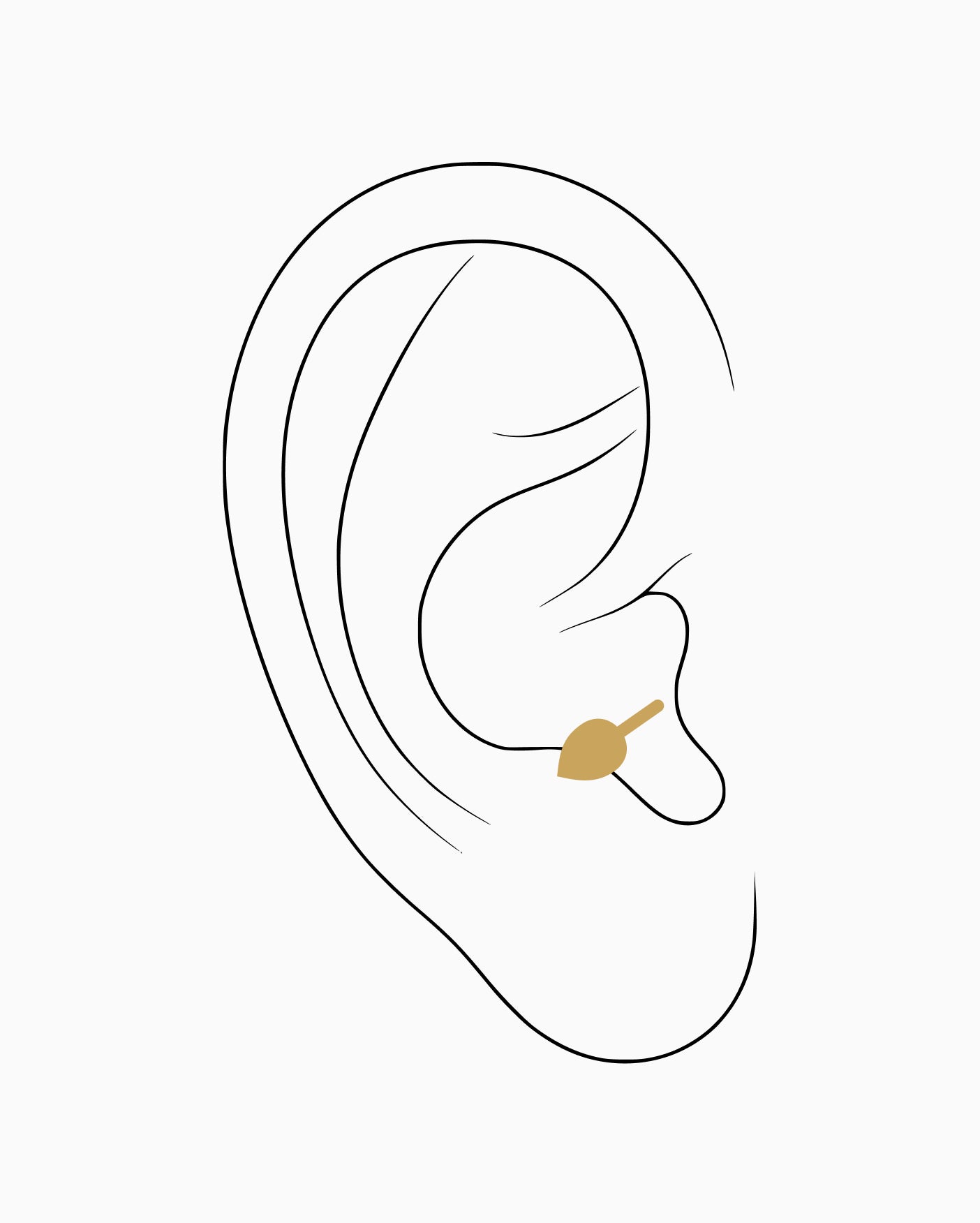 Anti tragus piercing placement diagram