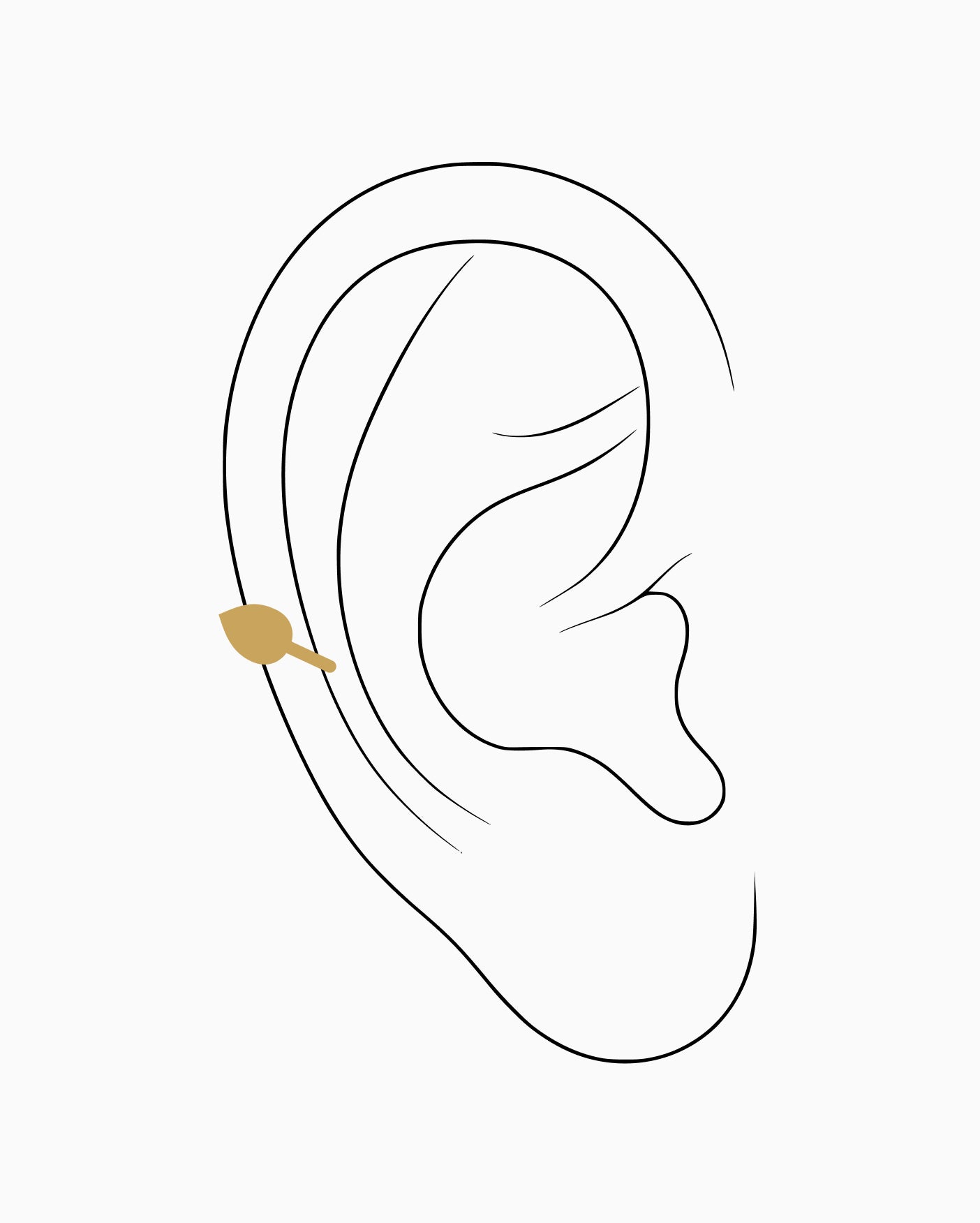 Auricle piercing placement diagram