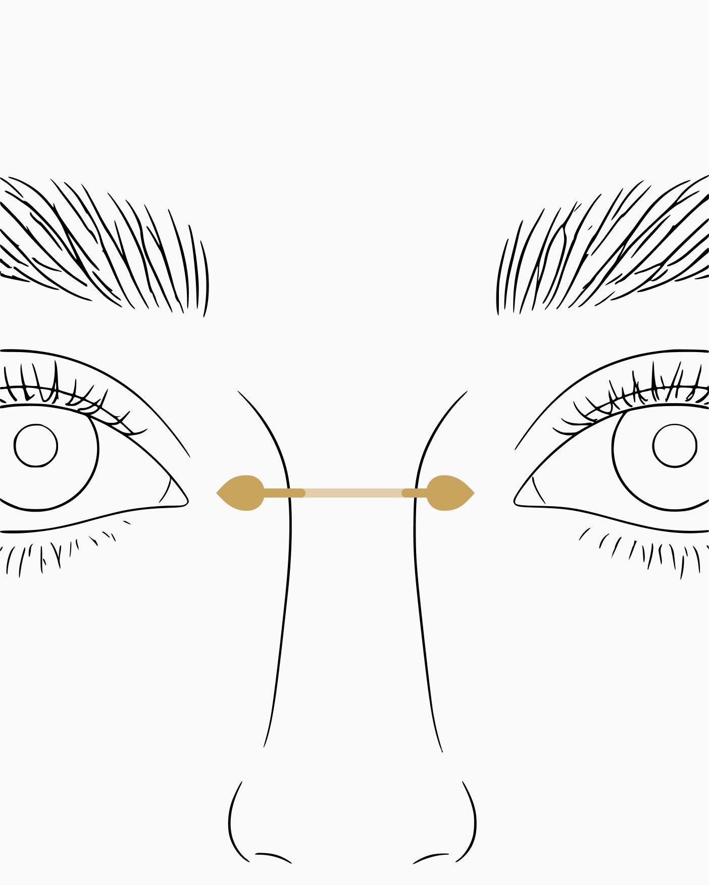 Bridge piercing placement diagram