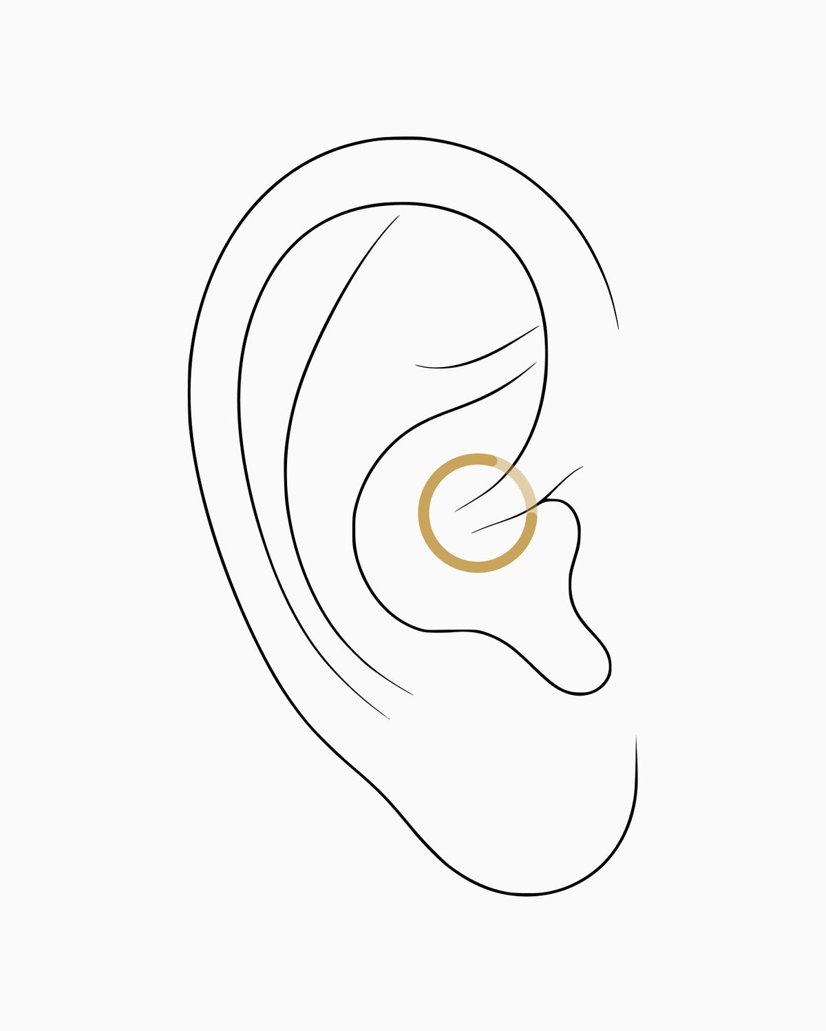 Daith piercing placement diagram