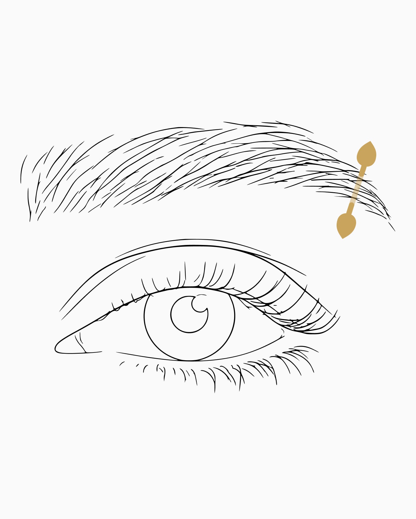 Eyebrow piercing placement diagram