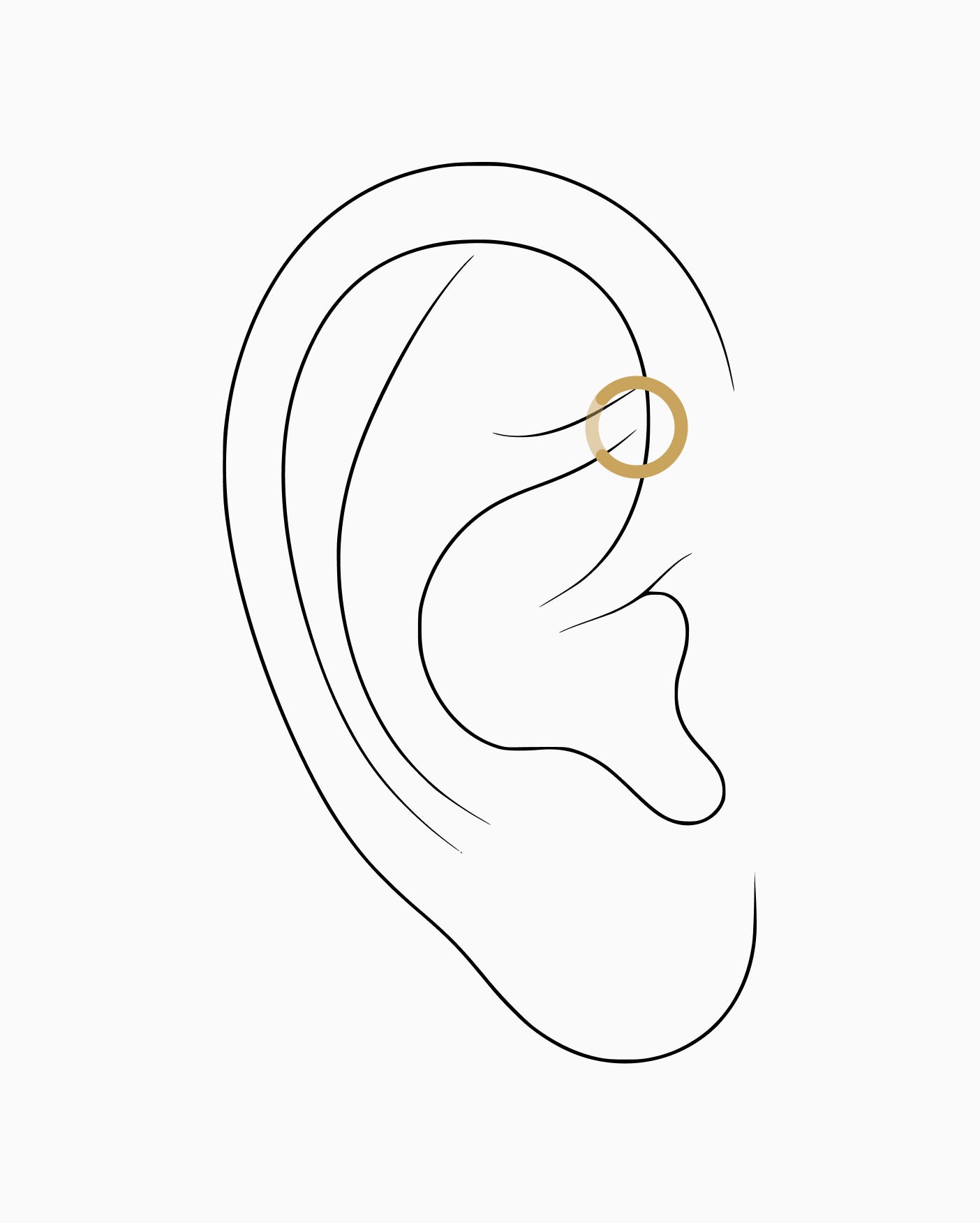 Forward helix piercing placement diagram