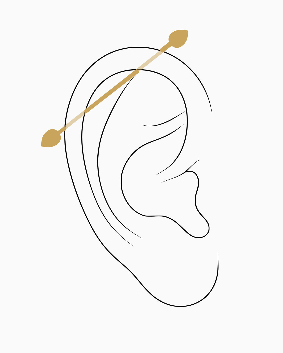 Industrial piercing placement diagram