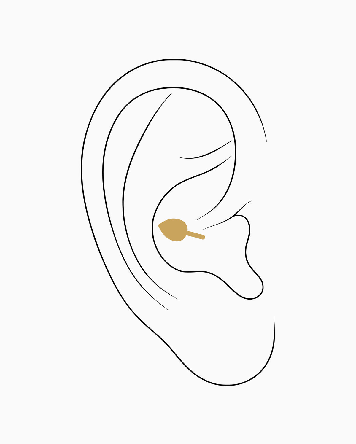Inner conch piercing placement diagram