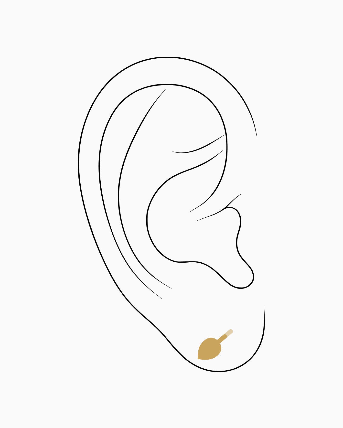 Lobe piercing placement diagram