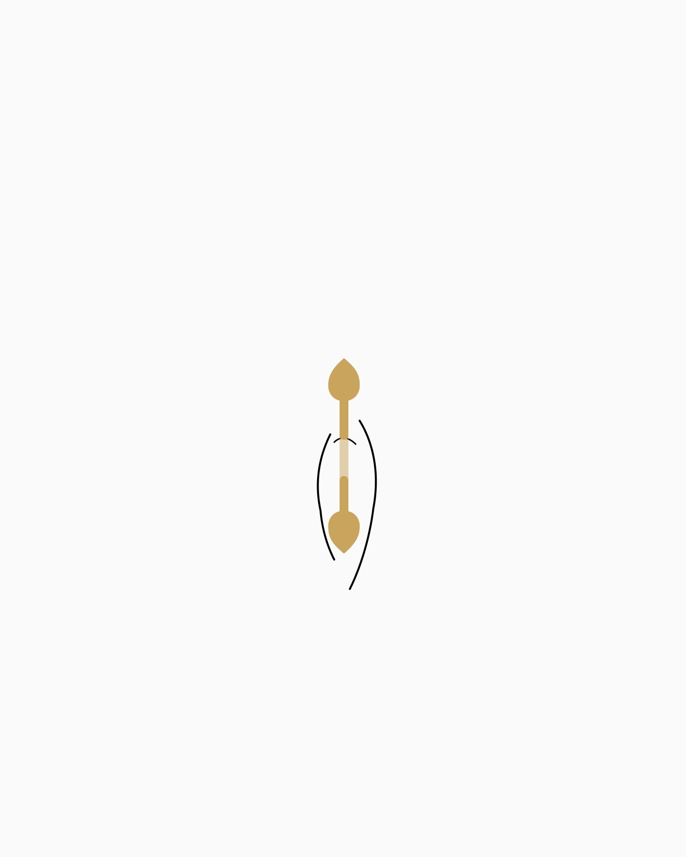 Navel piercing placement diagram
