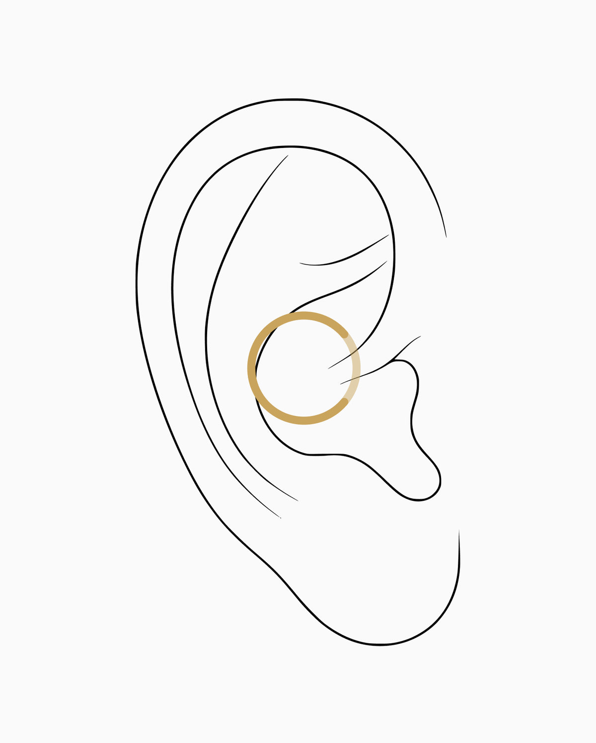 Orbital conch piercing placement diagram
