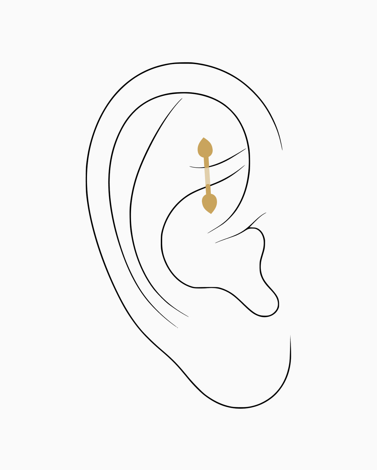 Rook piercing placement diagram