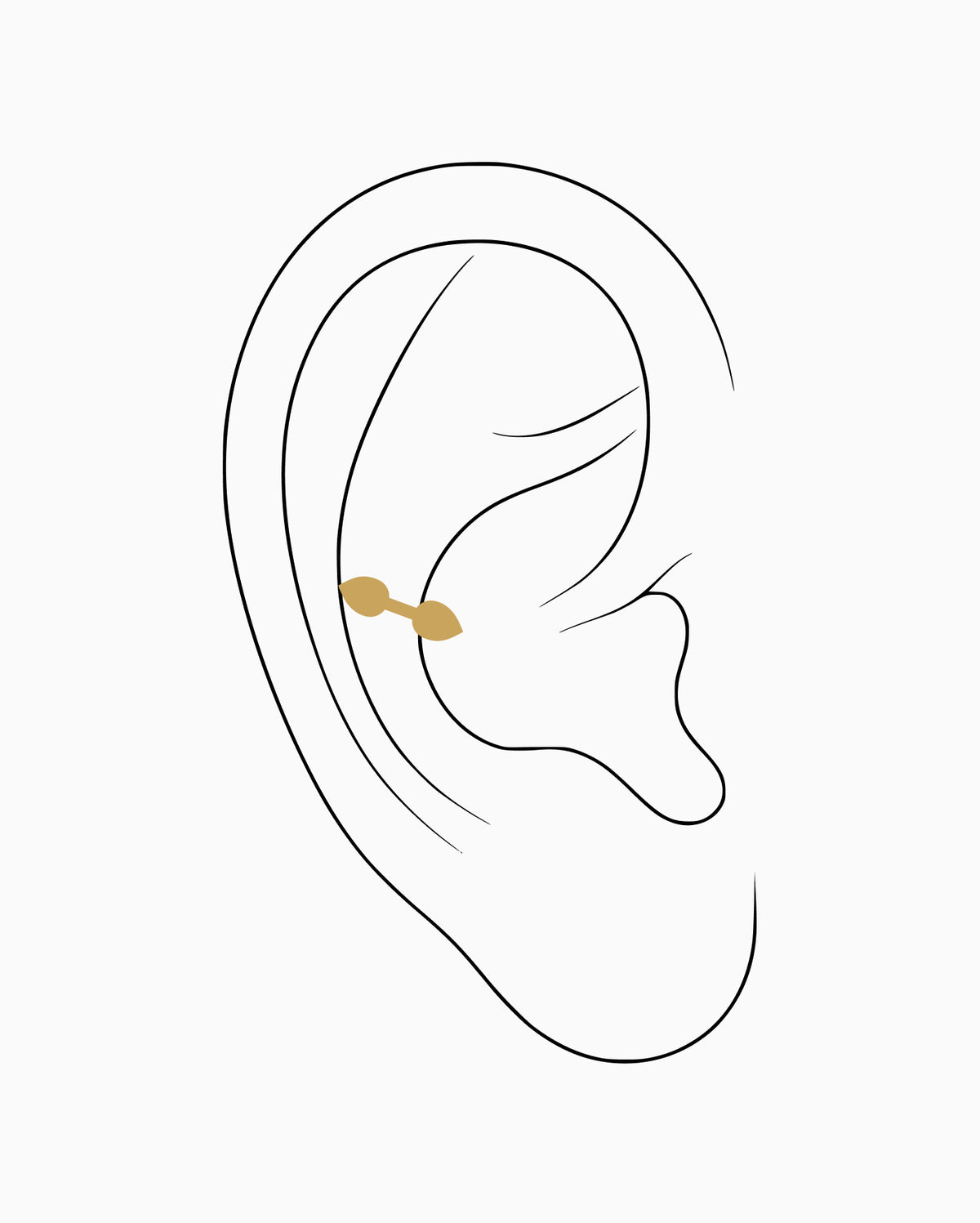 Snug piercing placement diagram