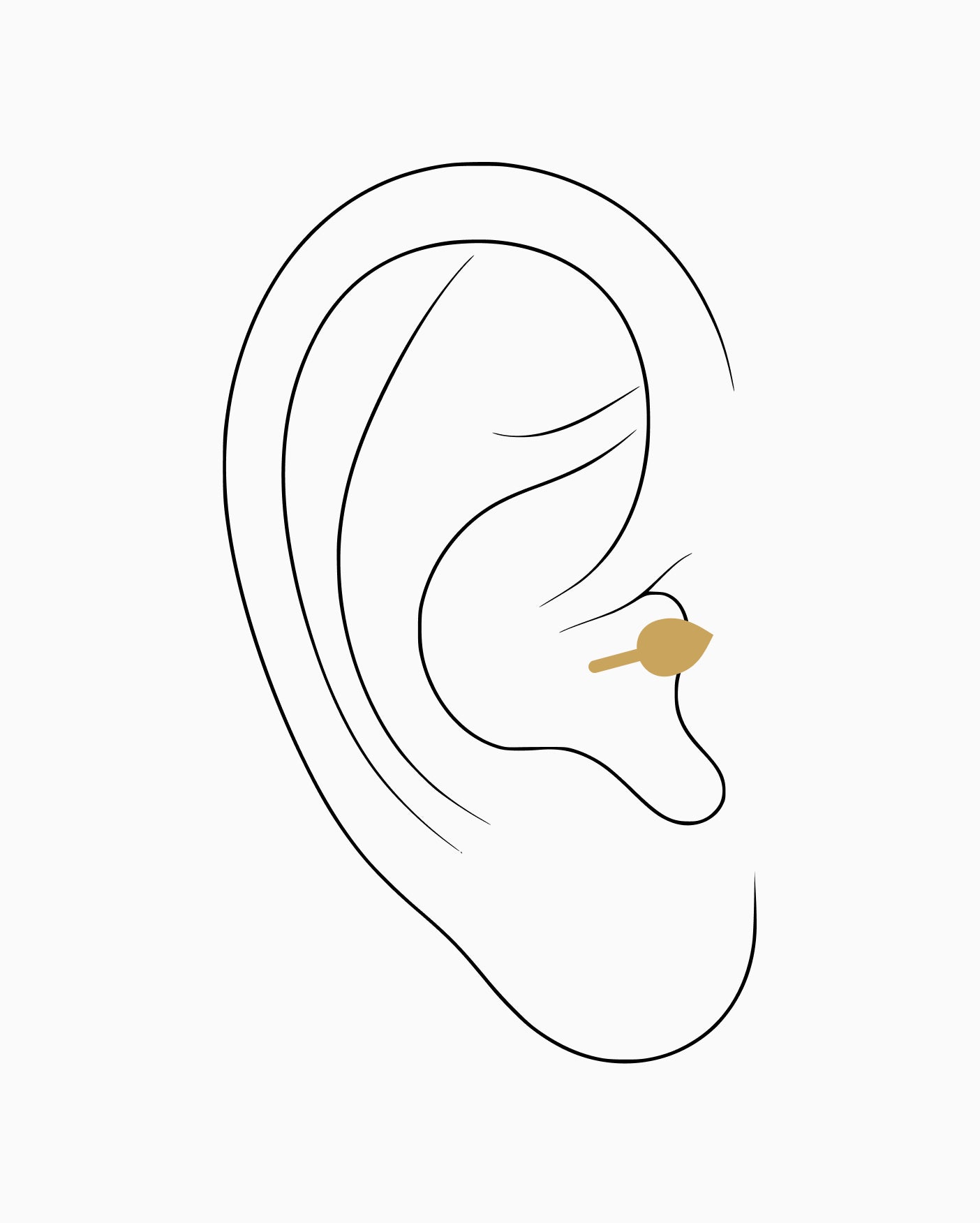 Tragus piercing placement diagram