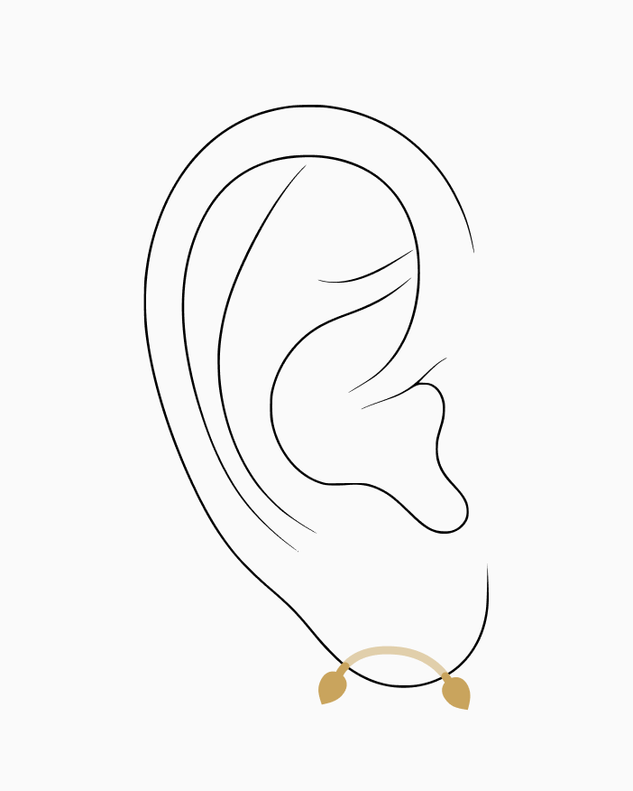 TRANSVERSE LOBE