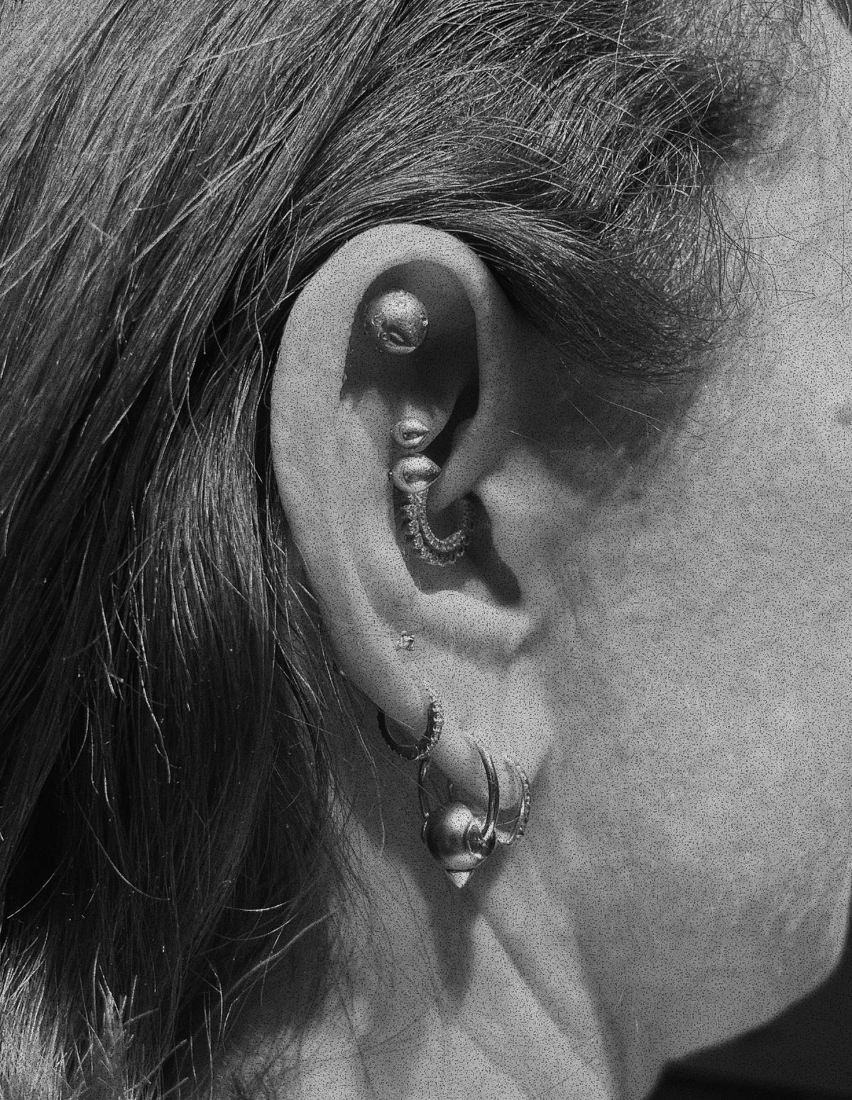 Erica, curated ear