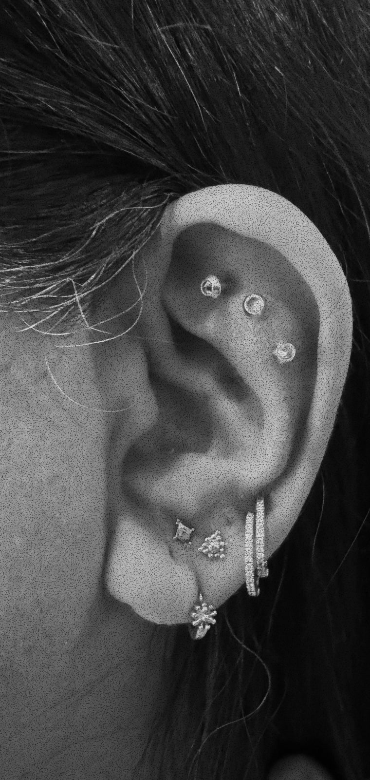 Sugar, full ear